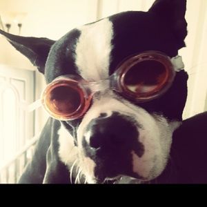 Meet your Posher, Naomi